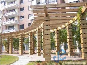 ���Ѽ�ϵ��